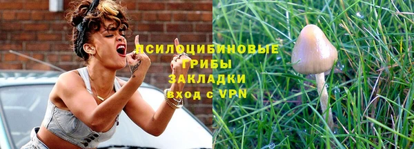 ешки Нягань